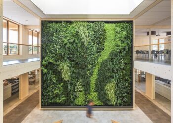 The Natural Connection: Biophilic Design for a Healthier World